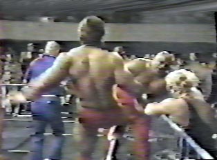 Zenk vs Abby 2